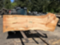 Maple 042324-3