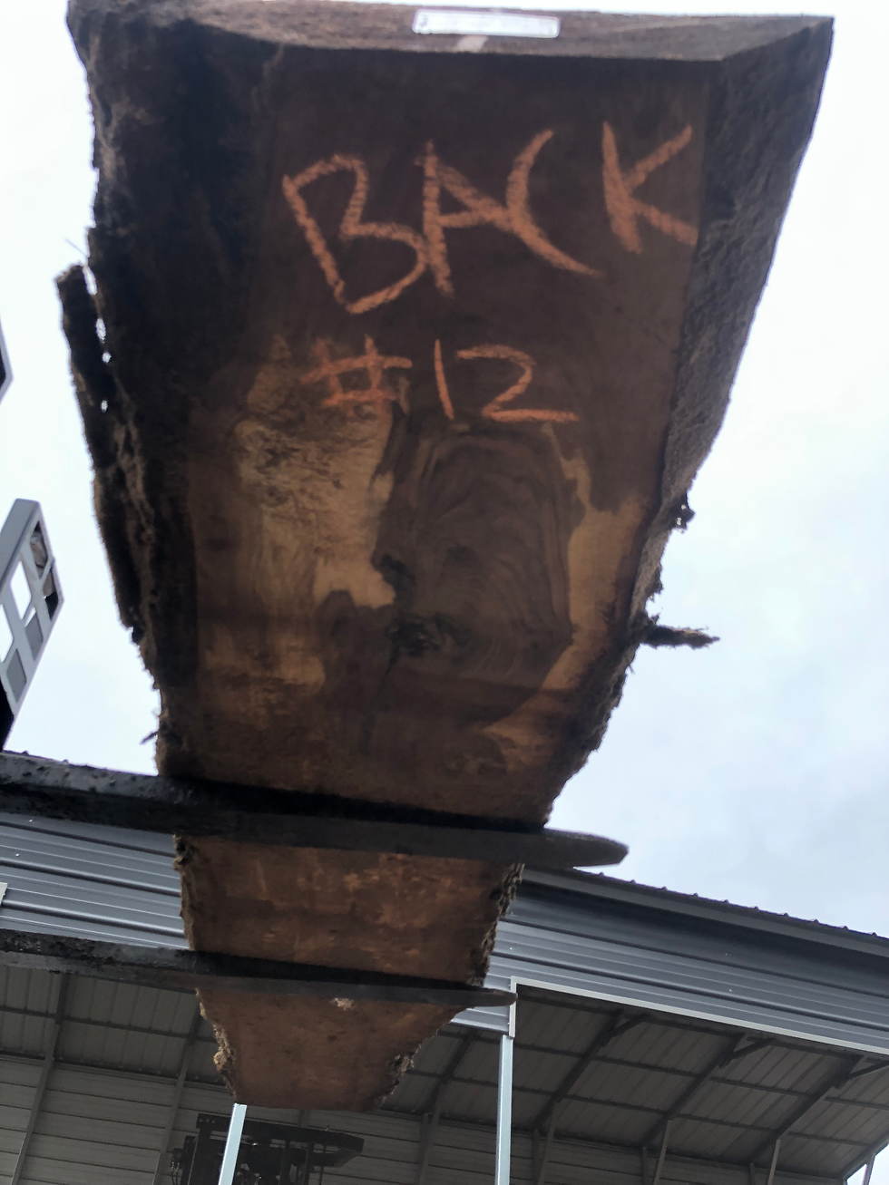 Thumbnail: Black Walnut 011623-12