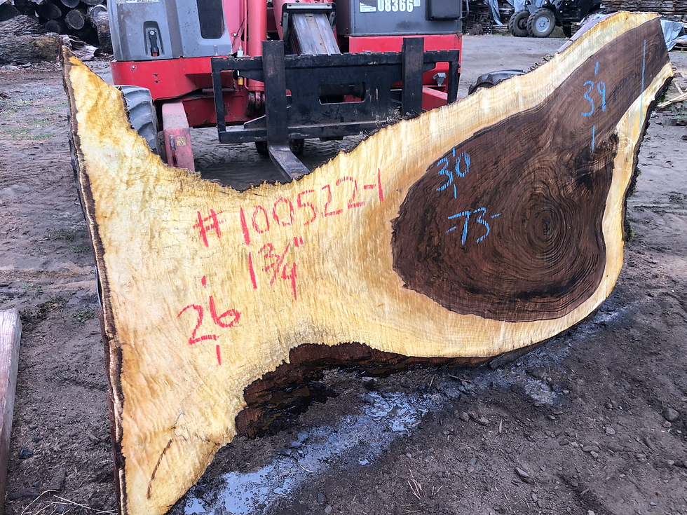 Thumbnail: Black Walnut 100522-1