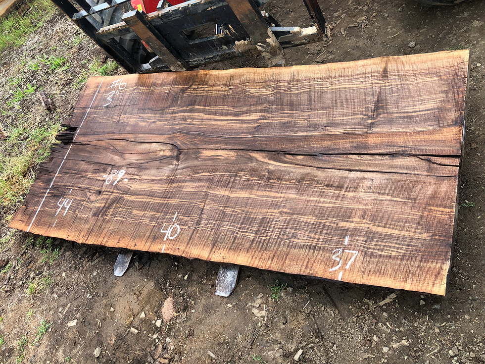Thumbnail: CURLY Black Walnut 070522-6