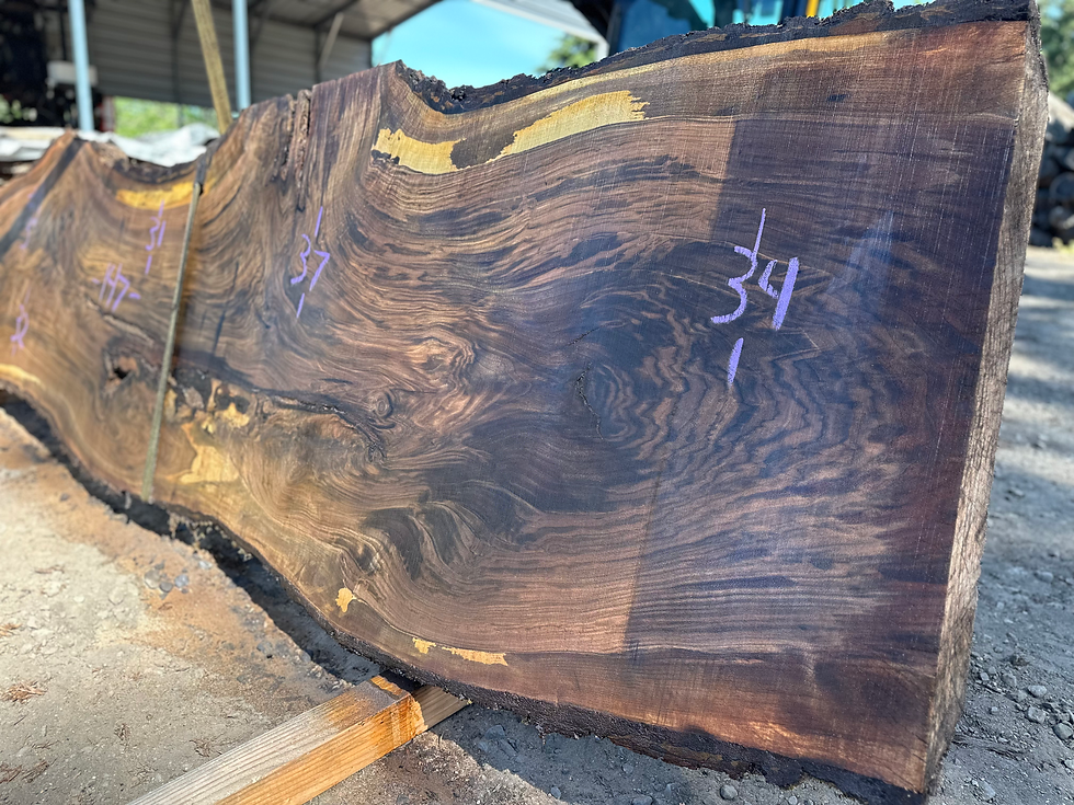 Thumbnail: Black Walnut 052824-11