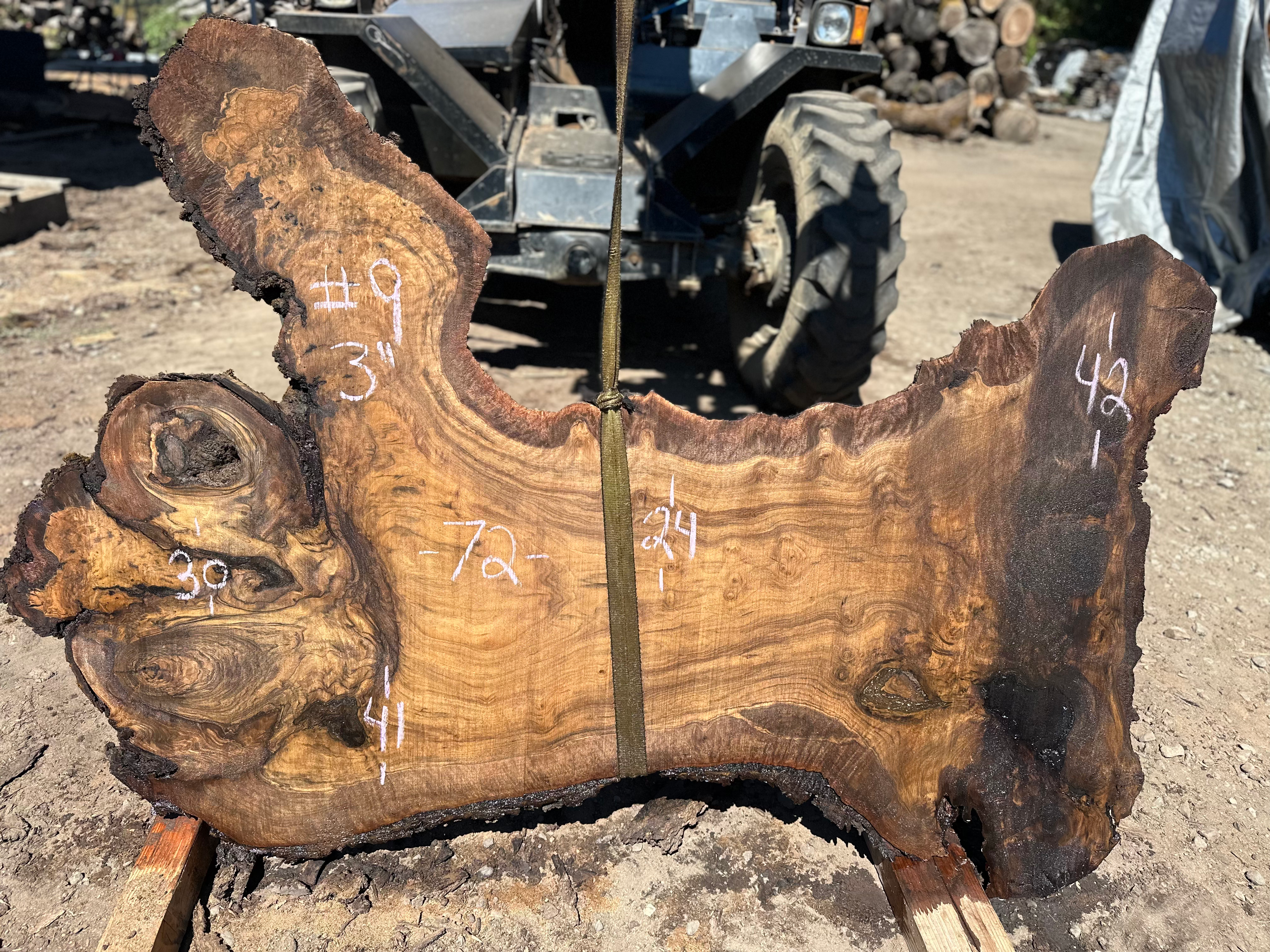 Claro Walnut Cluster 082724-9