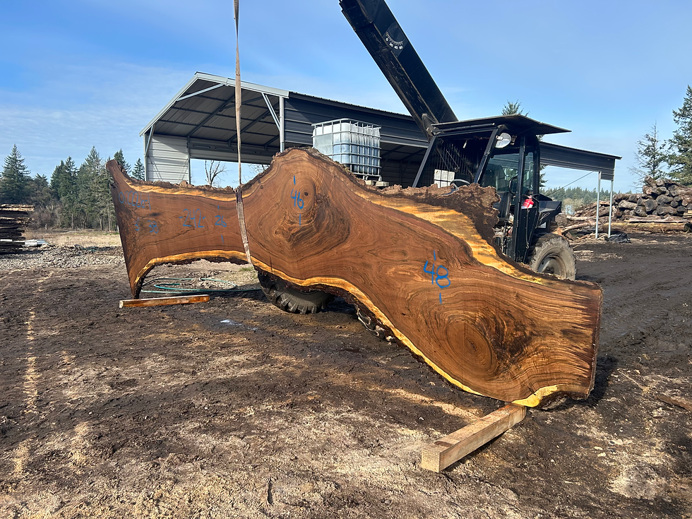 Thumbnail: Claro Walnut 012226-1