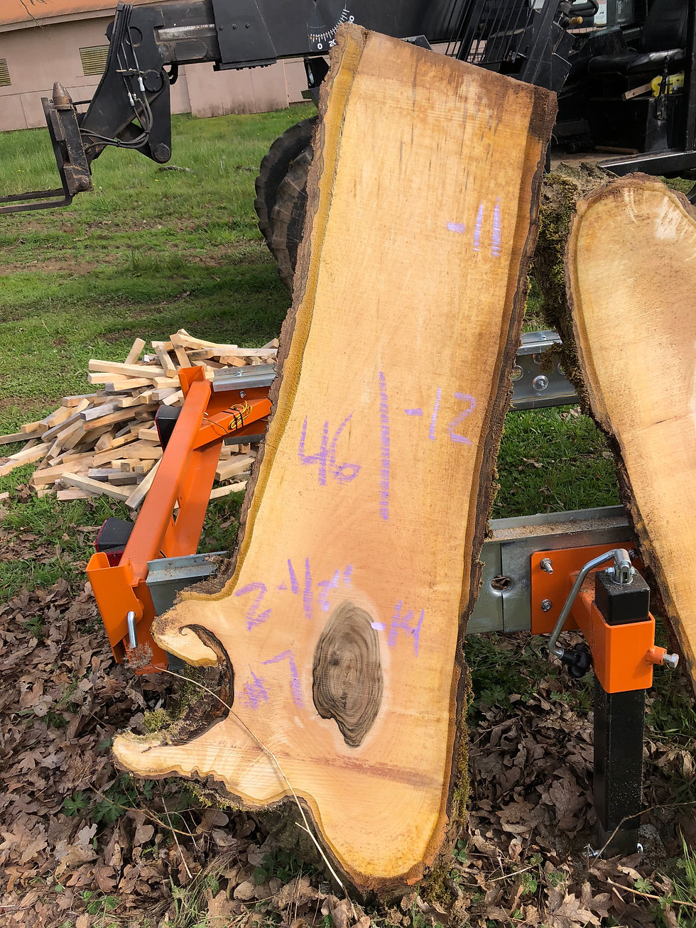 Thumbnail: English Walnut 033018-7