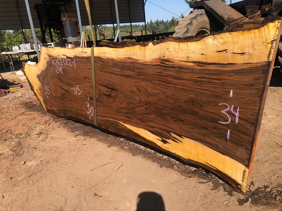 Thumbnail: Black Walnut 082522-1