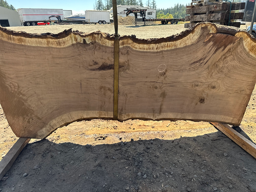 Thumbnail: Black Walnut 082324-7