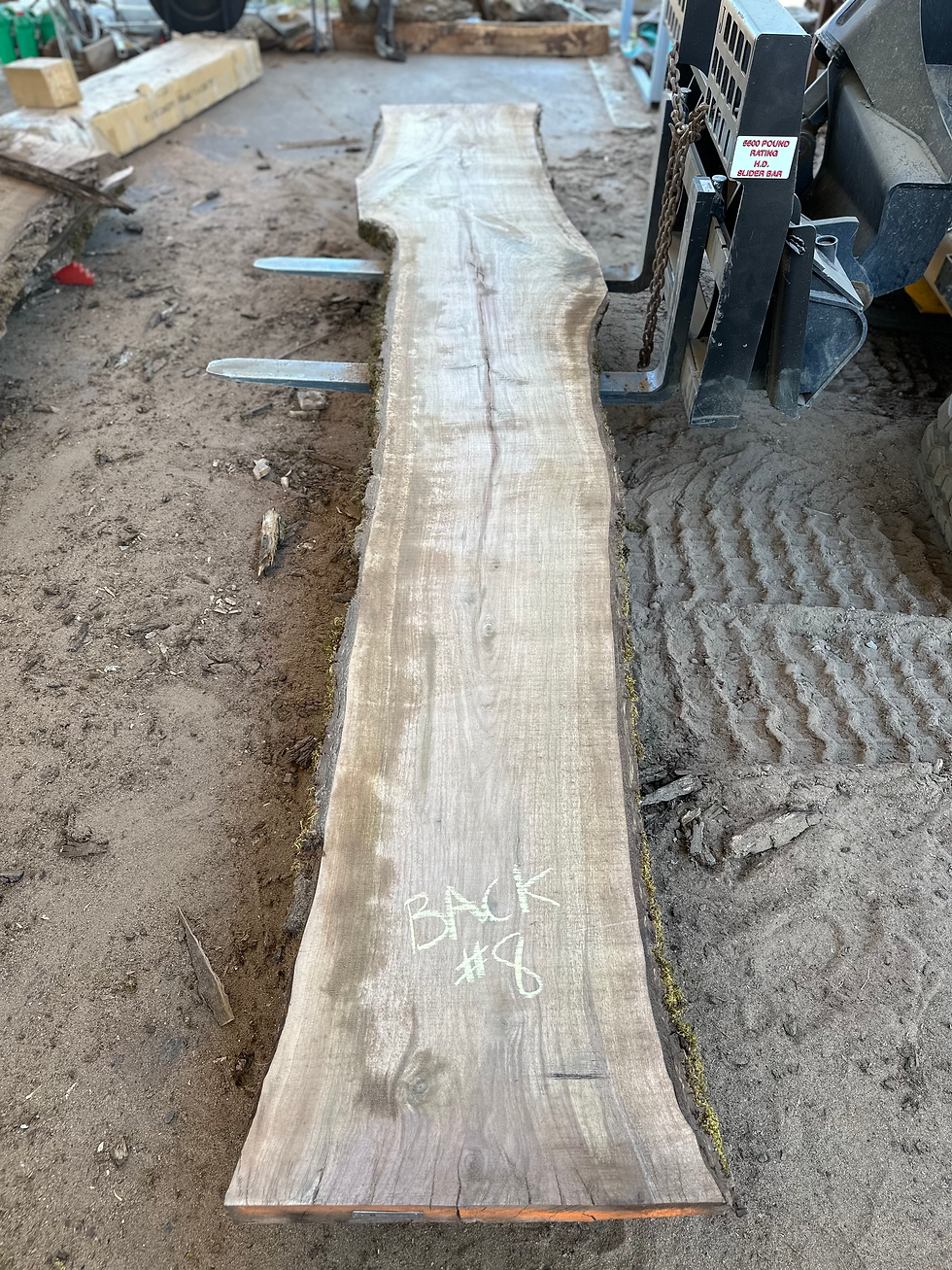 Thumbnail: Black Walnut 081023-8