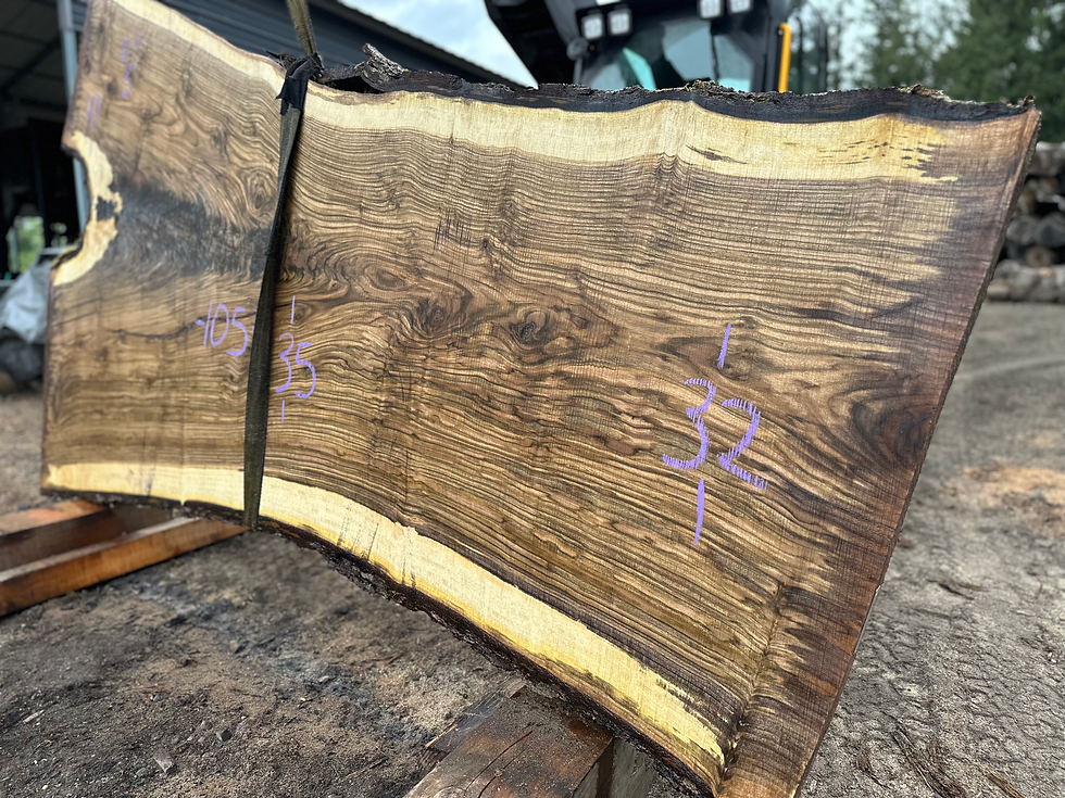 Thumbnail: Bastogne Walnut 052824-4