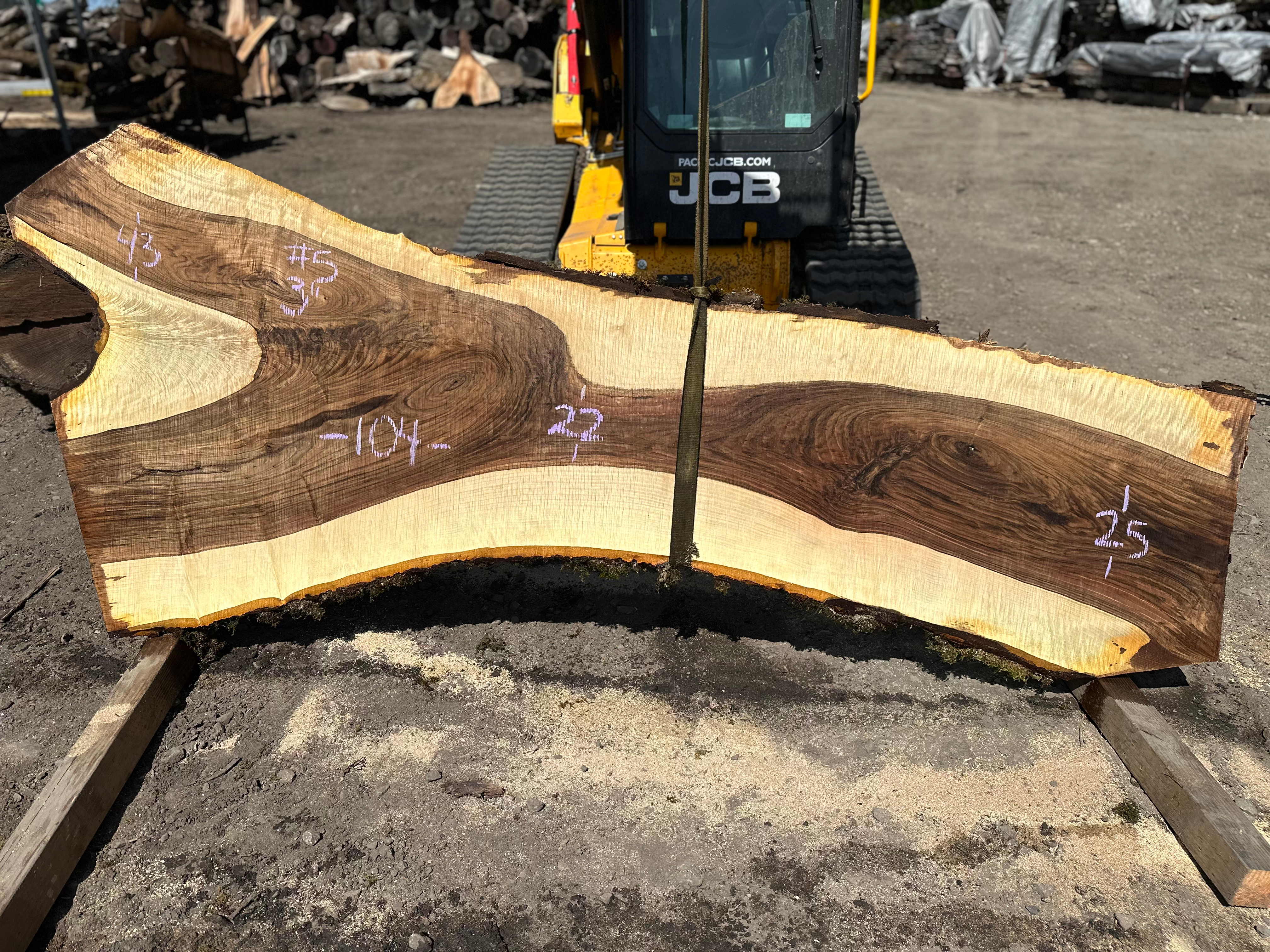 Bastogne Walnut 042224-5