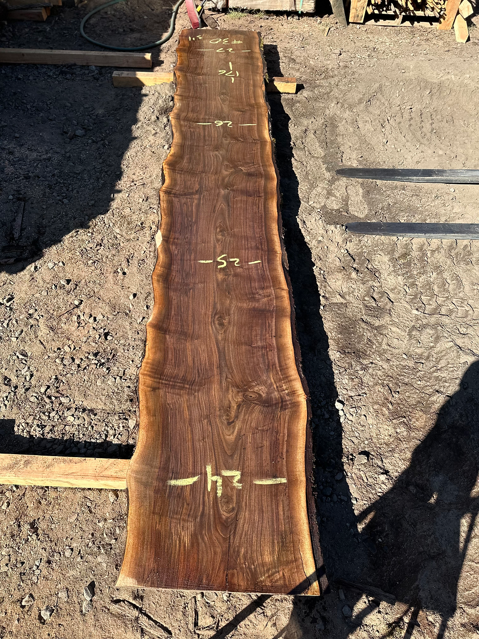 Thumbnail: Black Walnut 091323-30