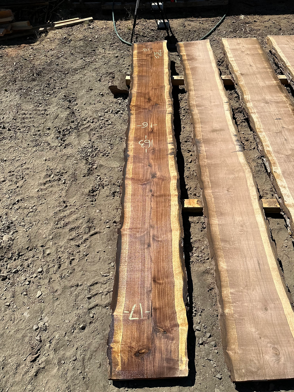 Thumbnail: Black Walnut 081023-4