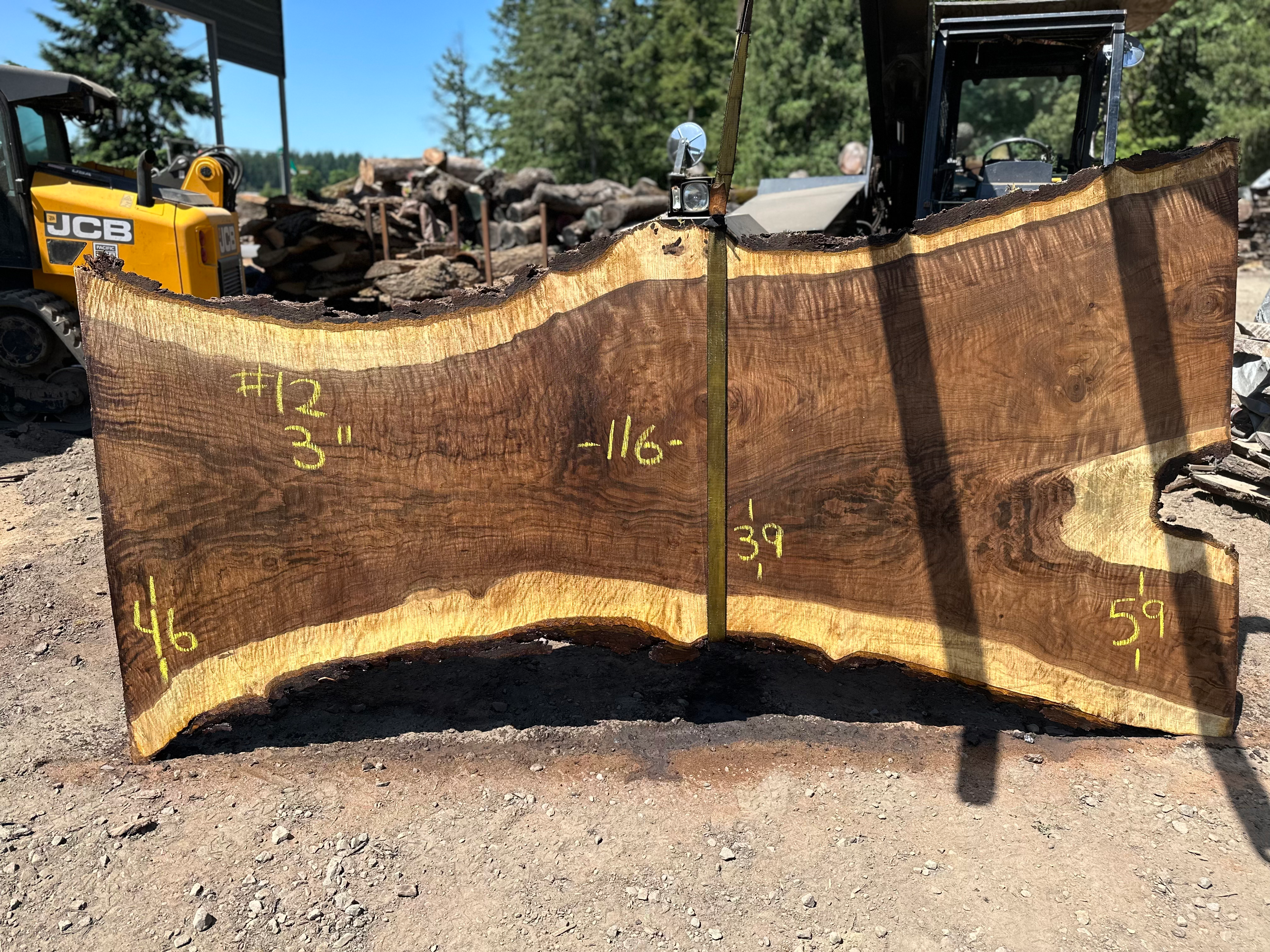 Curly Black Walnut 053123-12