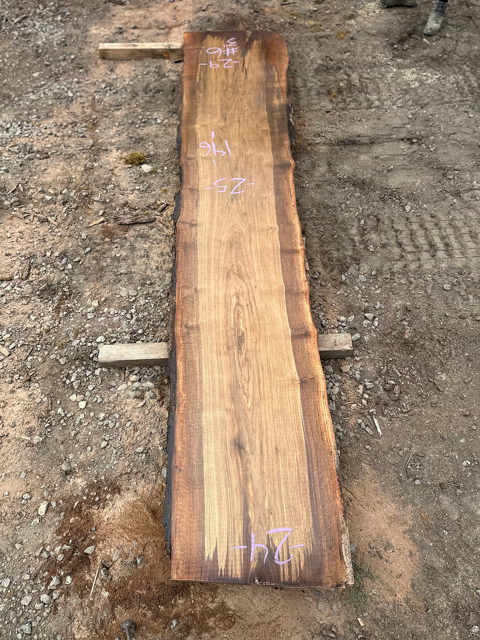 Thumbnail: Black Walnut 090723-6