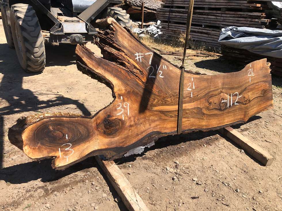 Thumbnail: English Walnut 072022-7