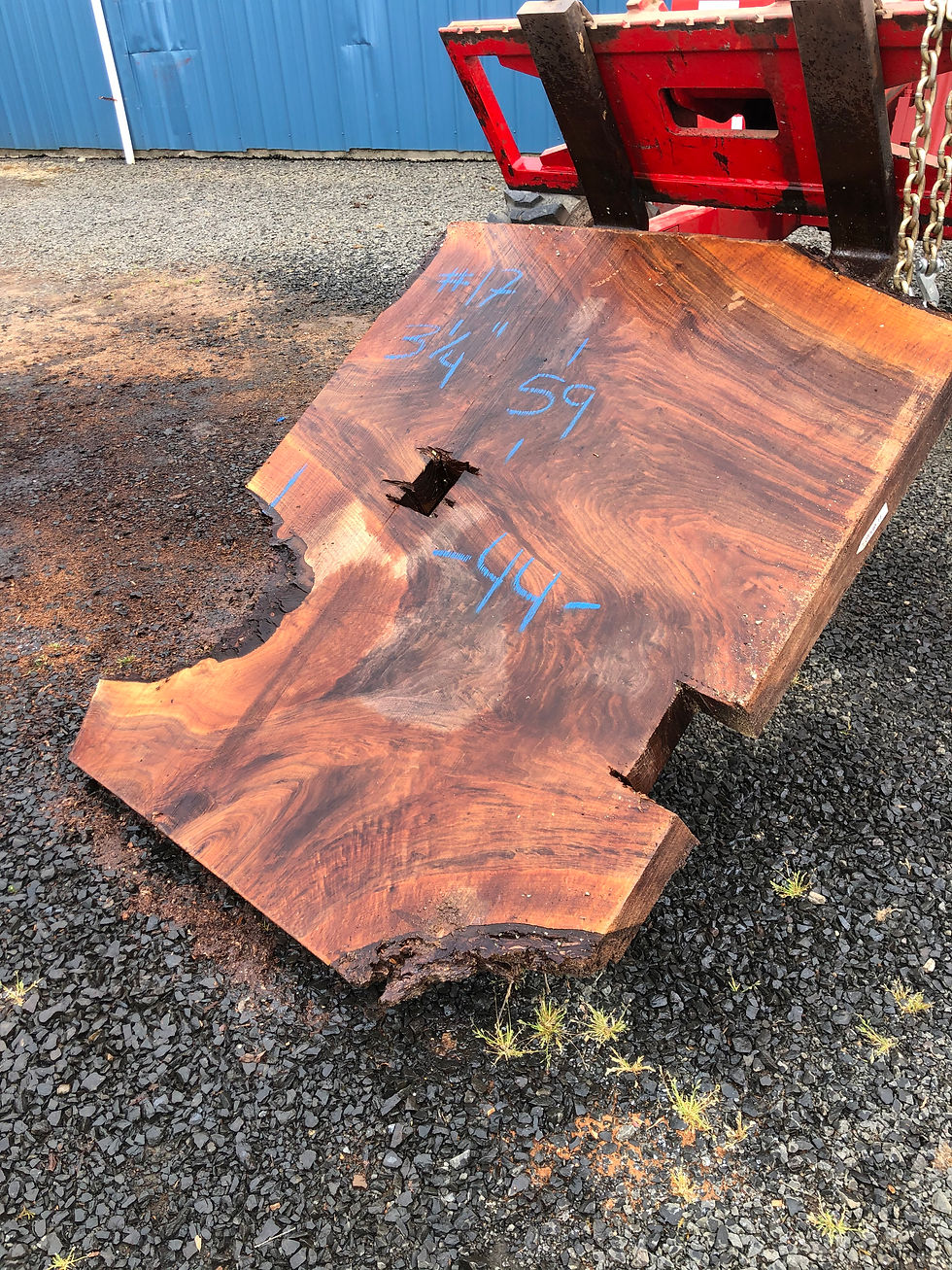 Thumbnail: Black Walnut 041120-17