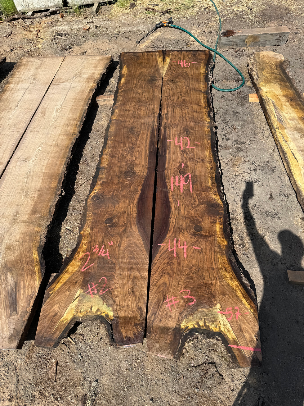 Thumbnail: Black Walnut Bookmatch 052924-2/3