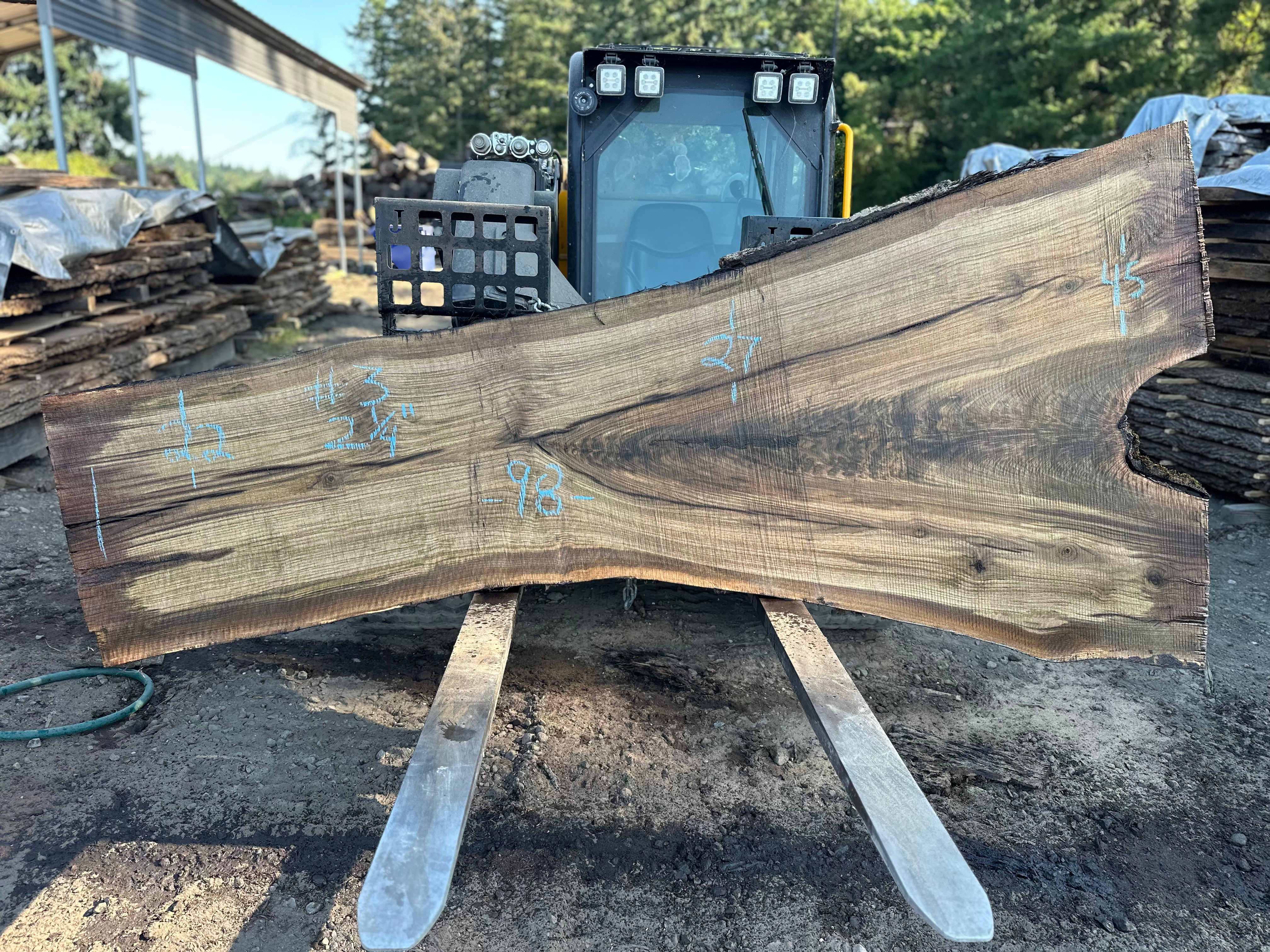 Black Walnut 070725-3