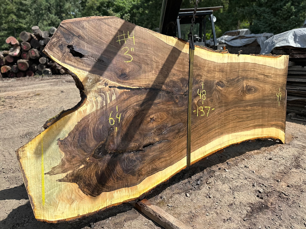 Thumbnail: Black Walnut 060623-4