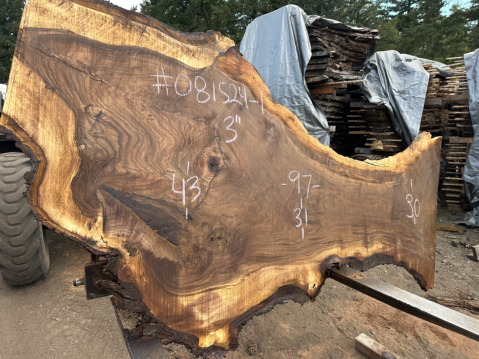Thumbnail: Claro Grafted English Walnut 081524-1