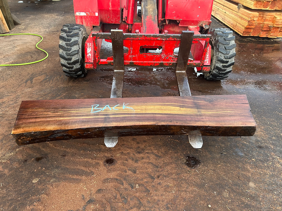 Thumbnail: Black Walnut 031626-2