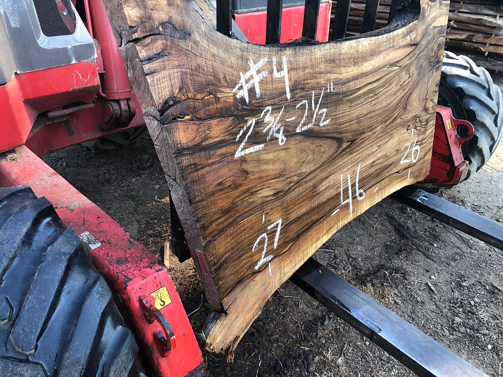 Thumbnail: Black Walnut 072622-4