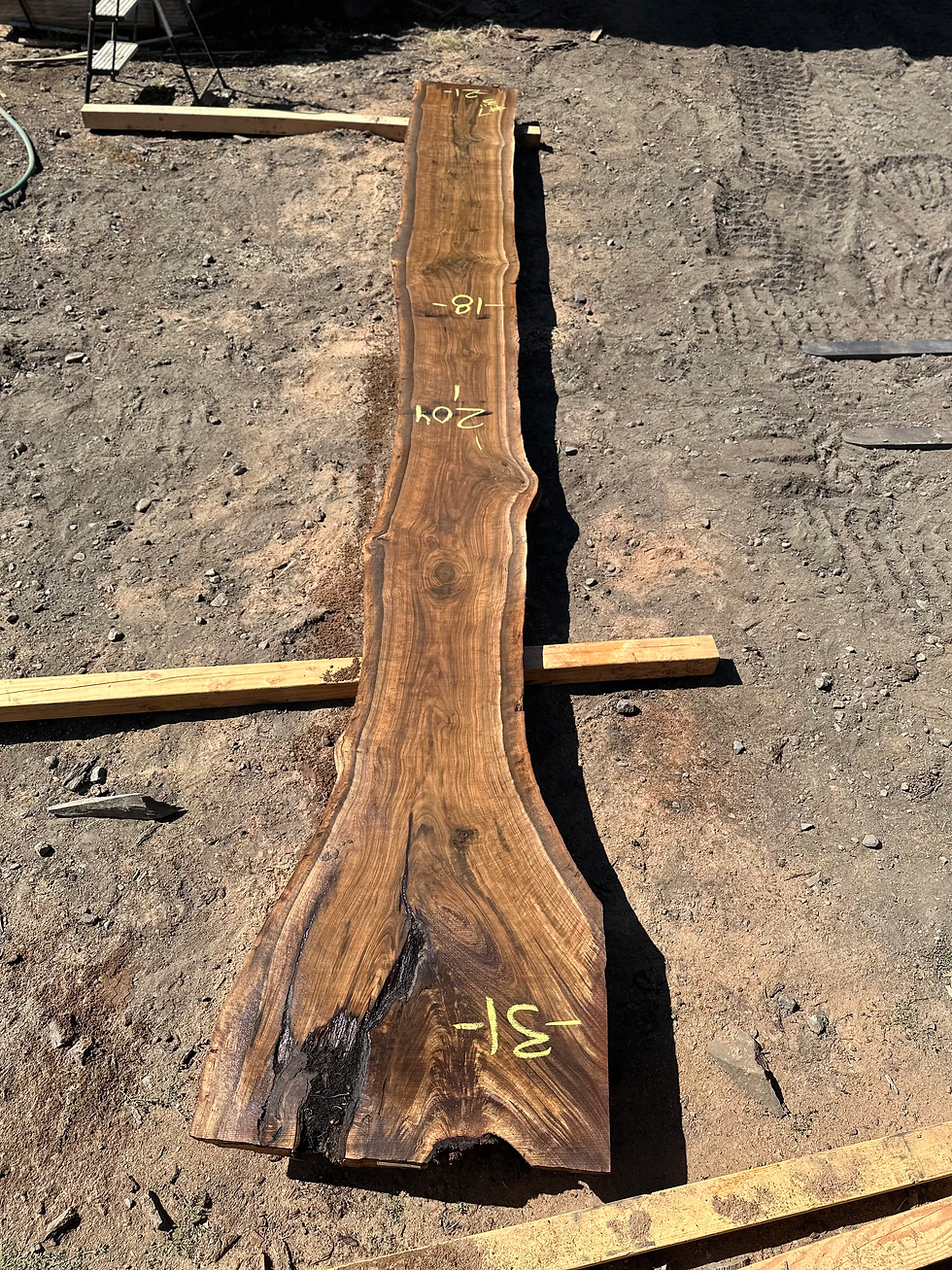Thumbnail: Black Walnut 091323-7