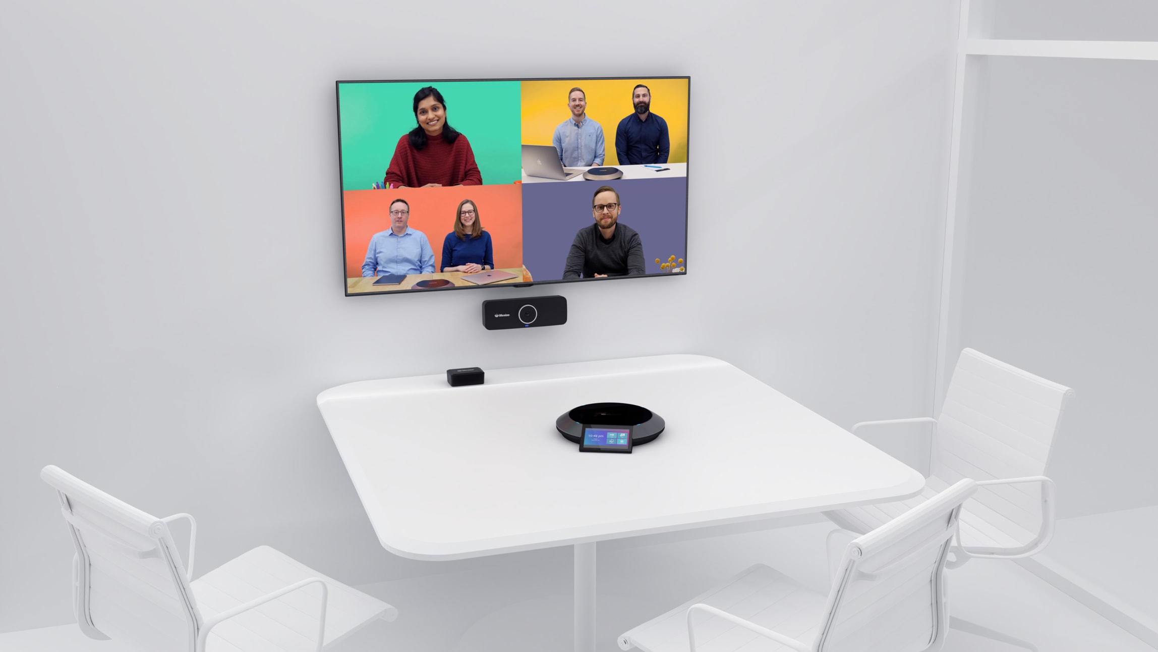 Lifesize Icon 300