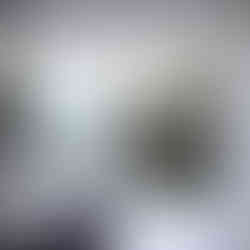 Staub Wittwer Architekten
Neubau Einfamilienhaus