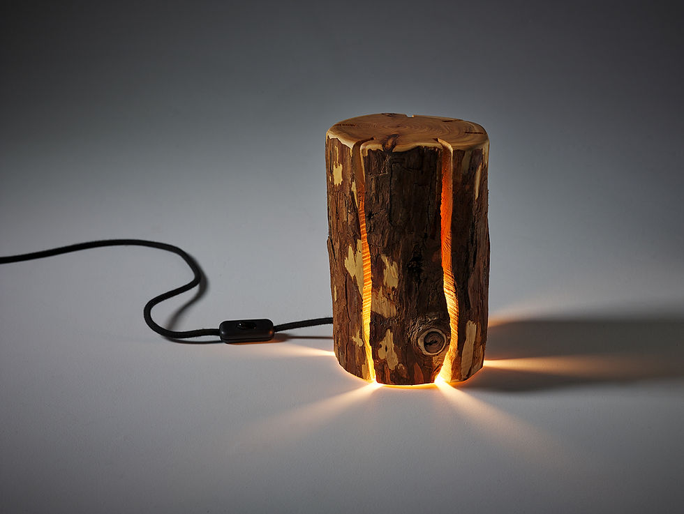 Thumbnail: Cracked Log Lamp