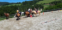 20190624_110853.jpg