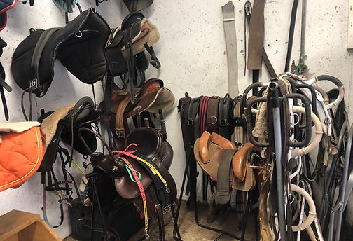 Selle Equitation Pégase Surfaix Sellerie Centre équestre Handicap