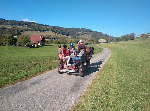 Calèche Cheval Handicap Pégase Campagne Montagne