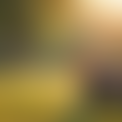 Wellness Tips for a Balanced and Healthy Life