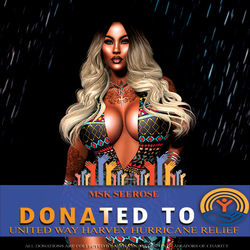 ASO HURRICANE RELIEF PHOTO TEMPLATE SMALL MSK SEEROSE