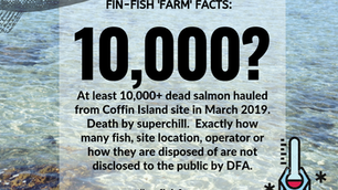 World Ocean Week 2019 Campaign:  Fin-Fish 'Farm' Fact #3.