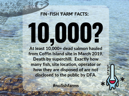 World Ocean Week 2019 Campaign:  Fin-Fish 'Farm' Fact #3.