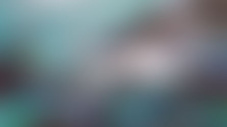 Salmon farms become election issue after multiple deaths and escapes  | Halifax Today