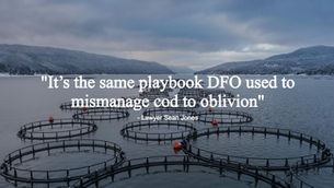 Sean Jones: A crisis of trust with the science from the federal Fisheries Department