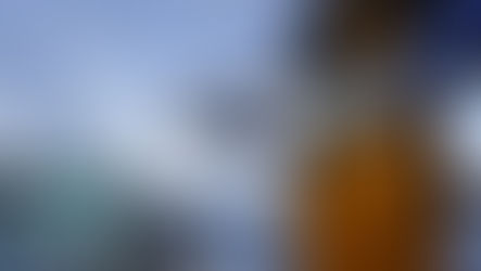 Net Loss:  The High Price of Salmon Farming