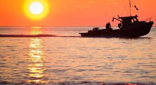 Letter: Protect proposed Marine Protected Area from unscrupulous politicians