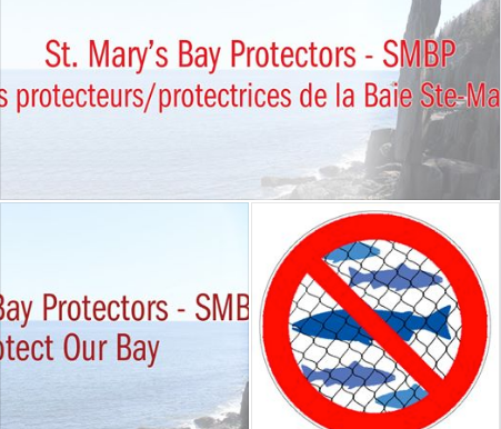 A new opposition group is formed to oppose Cermaq's proposed finfish farms in St.Mary's Bay, NS