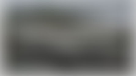 Maine: Cooke blames seals for escape of 50,000 salmon from net pen farm