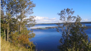 DFO Investigates farmed fish escape in Whycocomagh Bay, Cape Breton 