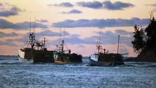 Threat to fish biodiversity blamed on government: say scientists  |  National Observer