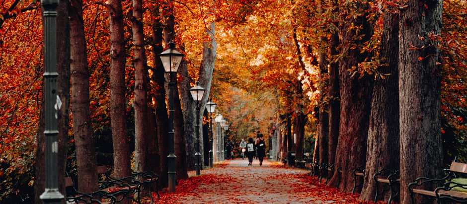 Foliage in Genoa: 5 places to photograph