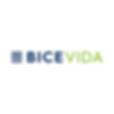 Logo Bice Vida