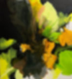 Anke Ryba  Feuerwerk der Farben - Abstrakt oder Floral