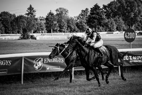 fotografia, wyścigi konne