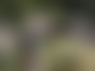 Fotorelacja z Dni Fantastyki 2025.