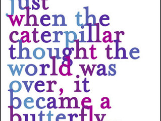 What Eric Carle Never Told Me: The Truth About Transitions